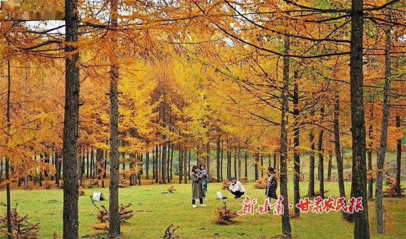 关山美景.jpg