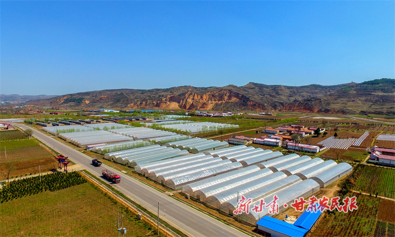 华亭市东华镇黎明川蔬菜基地.jpg