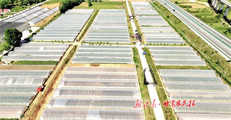 朱家坡村蔬菜大棚.jpg