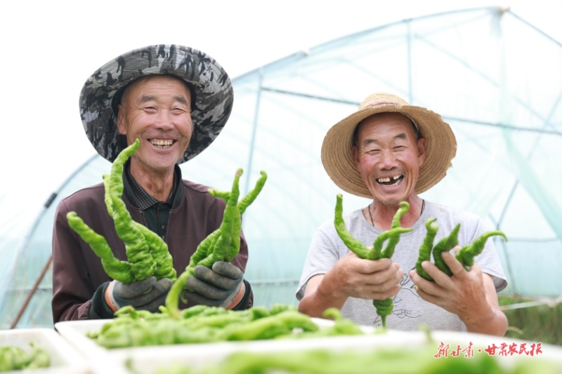 微信图片_20250730162622.jpg